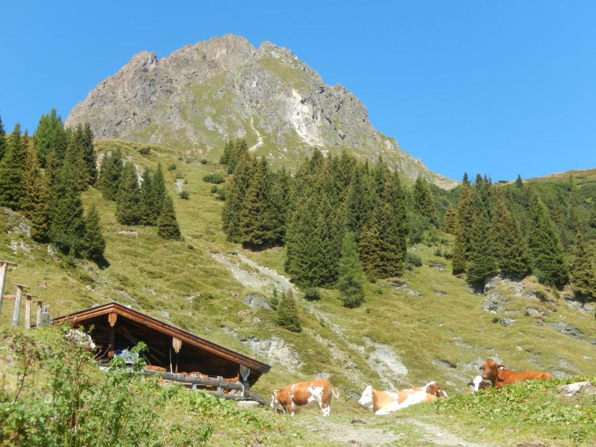 Ff Appartements Bramberg am Wildkogel Exteriör bild
